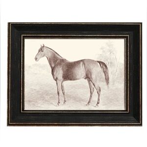 Antique Horse Sketch Wall Art